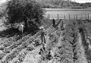 Black and white photograph of a family gardening together