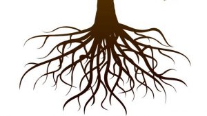 Strong roots