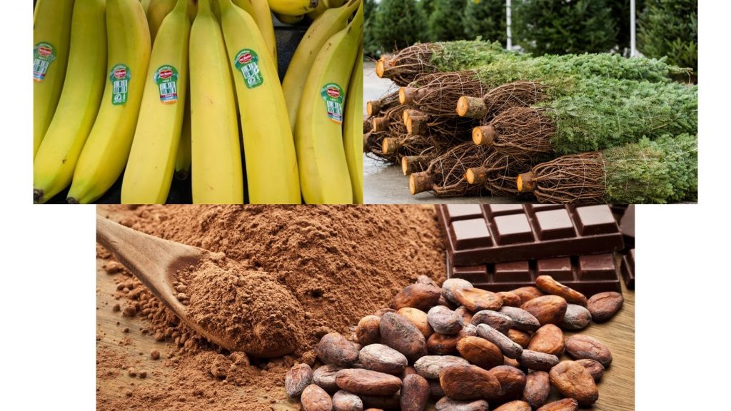 Bananas, cacao products, Christmas trees